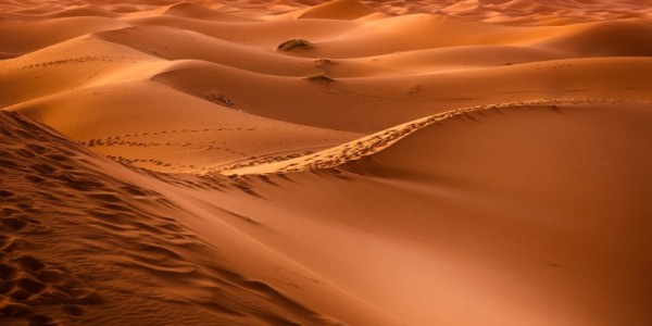 desert-1270345_1280.jpg